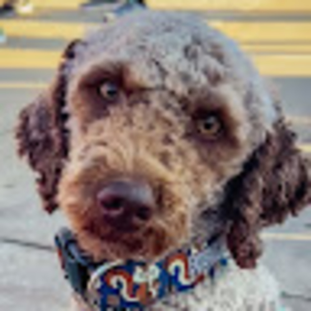 Meet your Posher, Christina